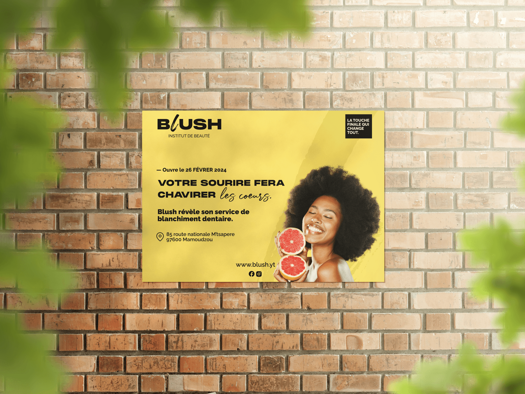Projet BLUSH